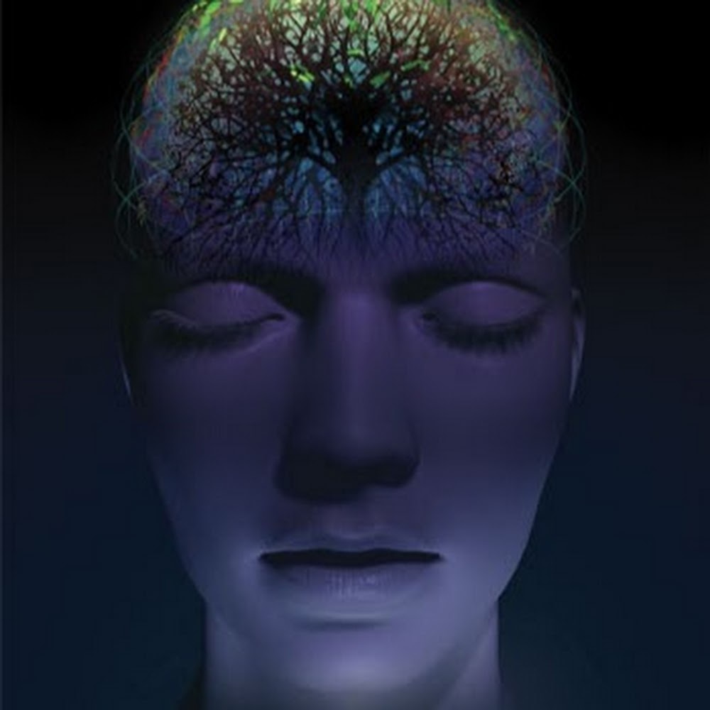 Meet your Posher, Nathalie